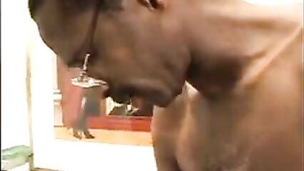 Черный толстым длинным членом входит в анал супруги