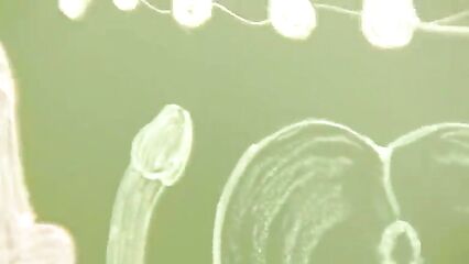 Худая студентка отдалась в тугую попку