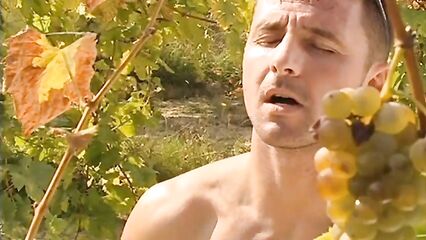 Вакханалия | Private X-treme Bacchanal (2002) онлайн с русским переводом!