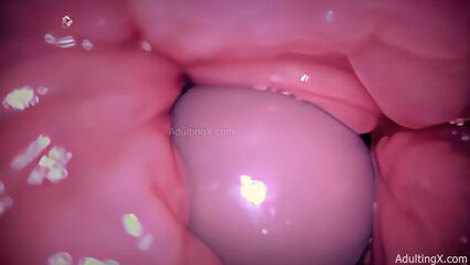 Камера внутри влагалища запечатлела как кончает член