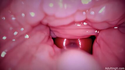 Камера внутри влагалища запечатлела как кончает член