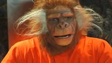 Планета обезьян | Planet of the Babes (2001) порно кино